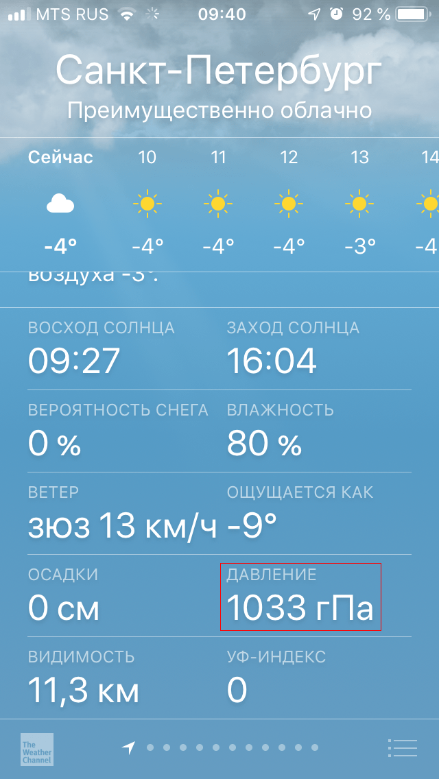 prognoz